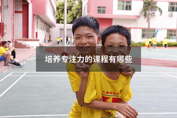 培养专注力的课程有哪些