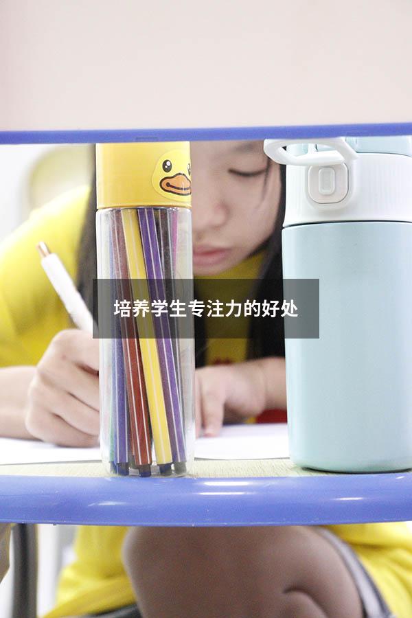 培养学生专注力的好处