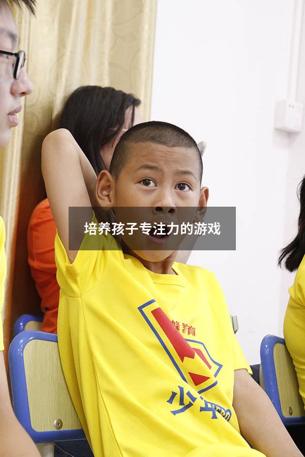 培养孩子专注力的游戏