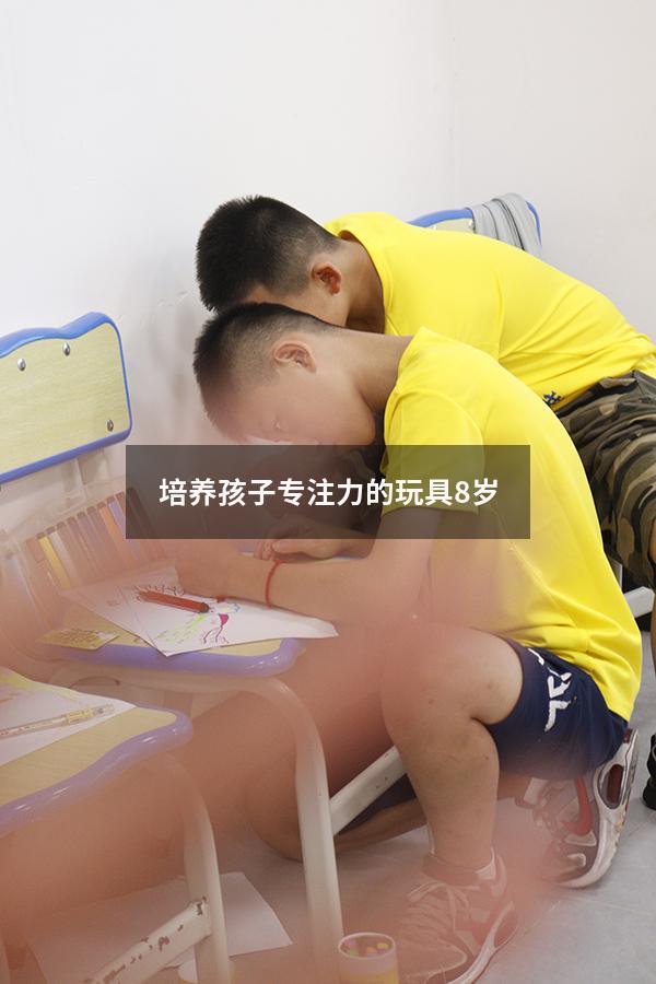 培养孩子专注力的玩具8岁