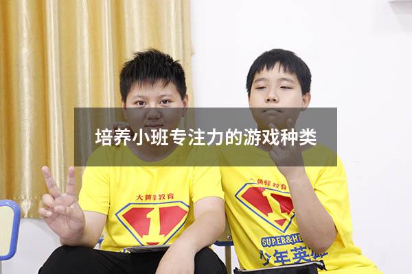 培养小班专注力的游戏种类