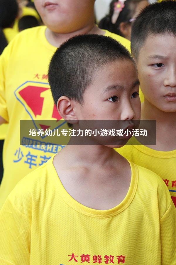 培养幼儿专注力的小游戏或小活动