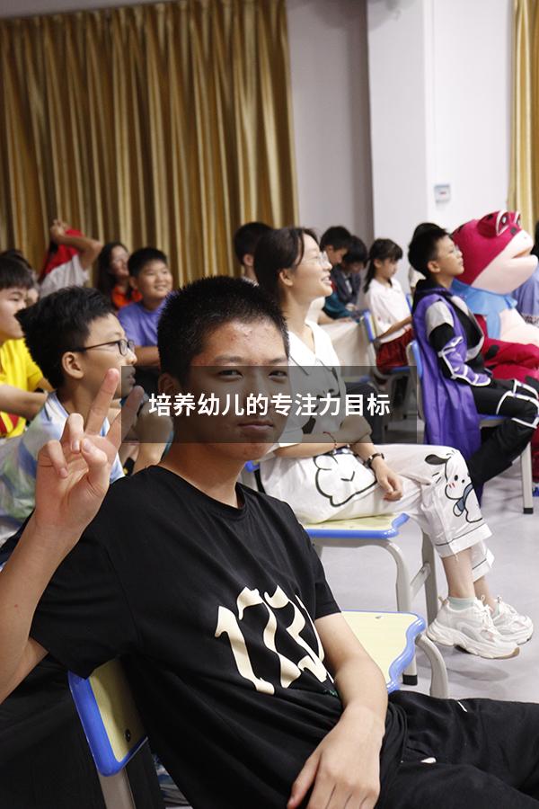 培养幼儿的专注力目标