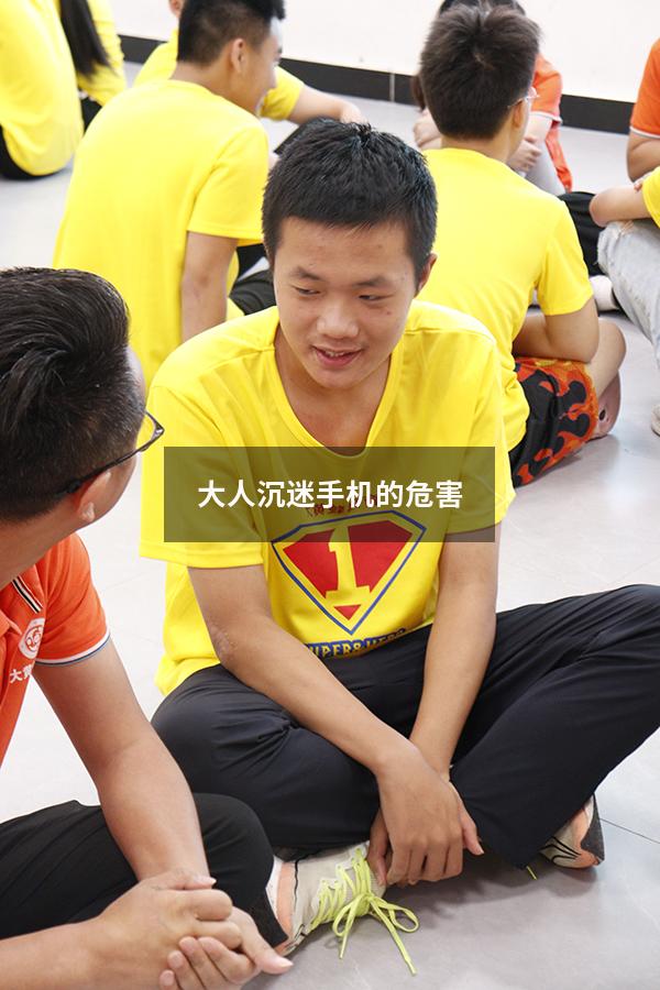 大人沉迷手机的危害