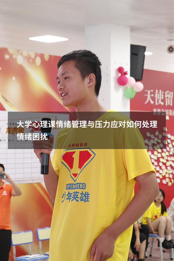 大学心理课情绪管理与压力应对如何处理情绪困扰