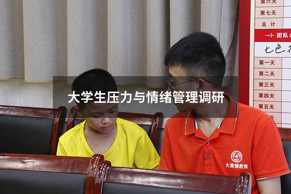 大学生压力与情绪管理调研