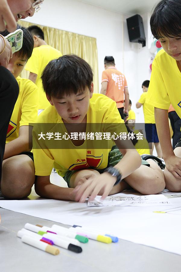 大学生心理情绪管理心得体会