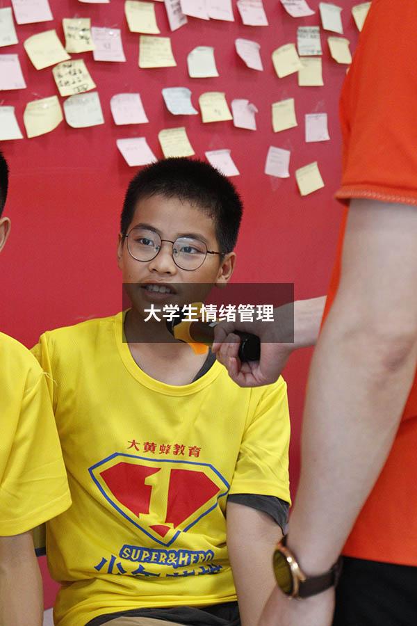 大学生情绪管理500