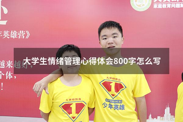 大学生情绪管理心得体会800字怎么写