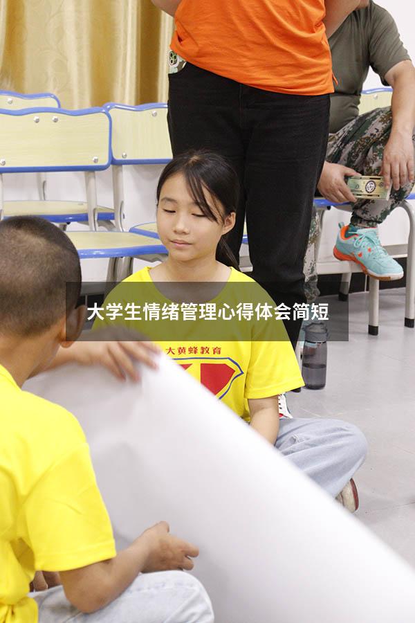 大学生情绪管理心得体会简短