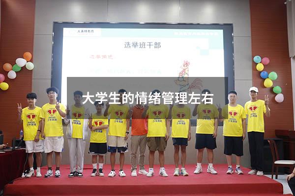 大学生的情绪管理左右