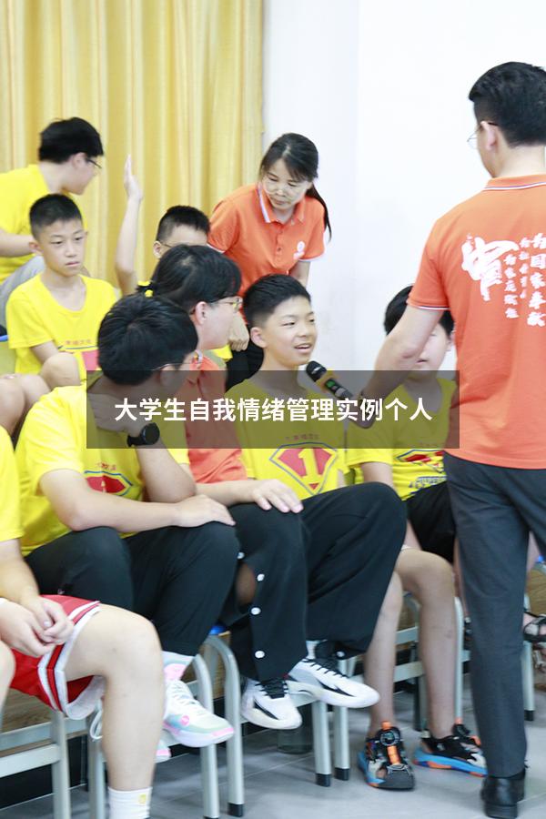 大学生自我情绪管理实例个人
