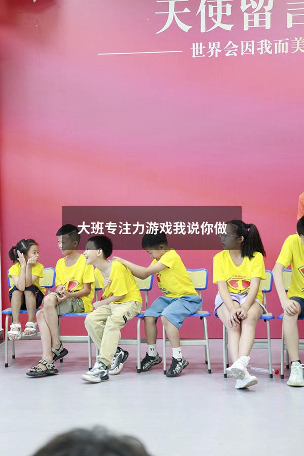 大班专注力游戏我说你做