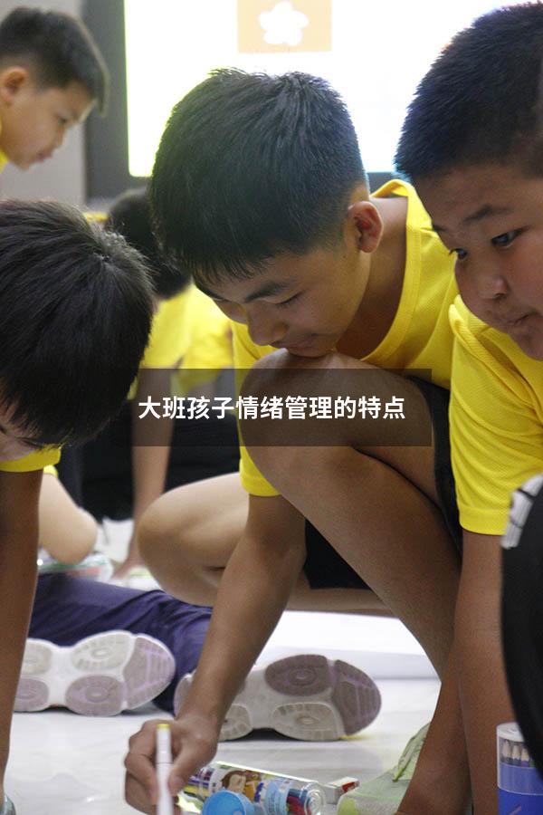 大班孩子情绪管理的特点