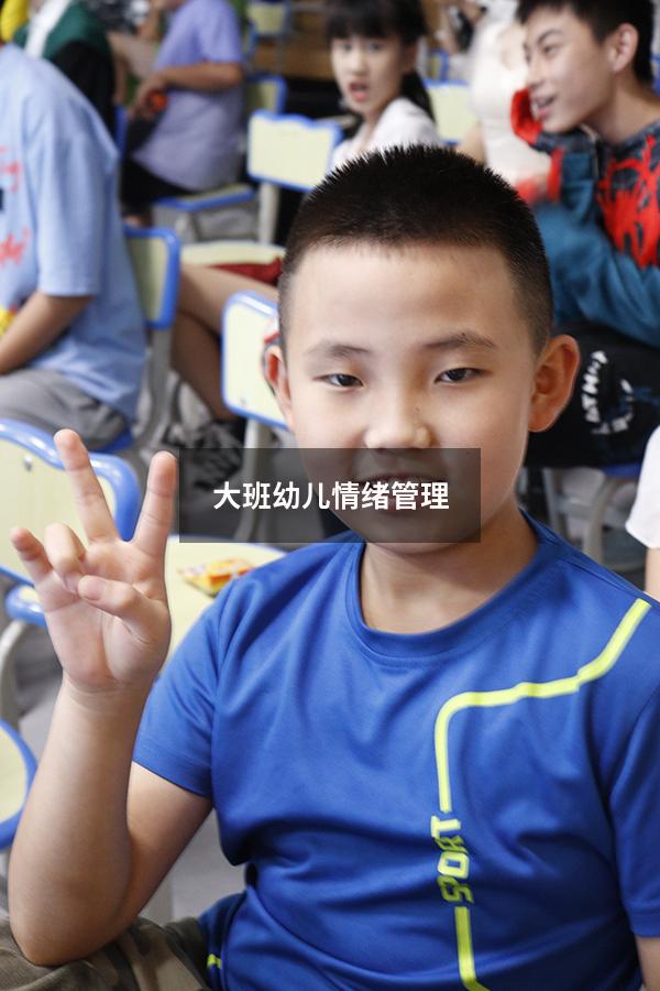 大班幼儿情绪管理4694