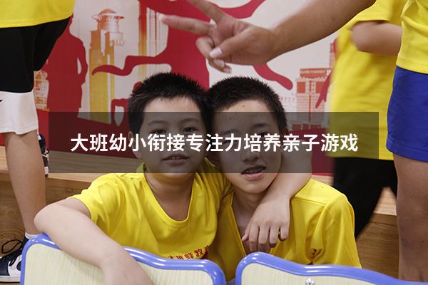 大班幼小衔接专注力培养亲子游戏