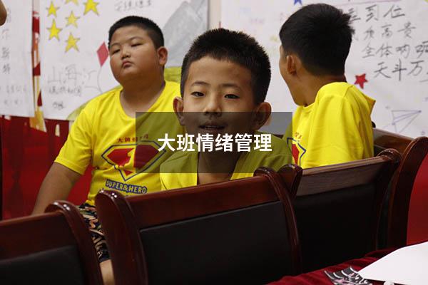 大班情绪管理
