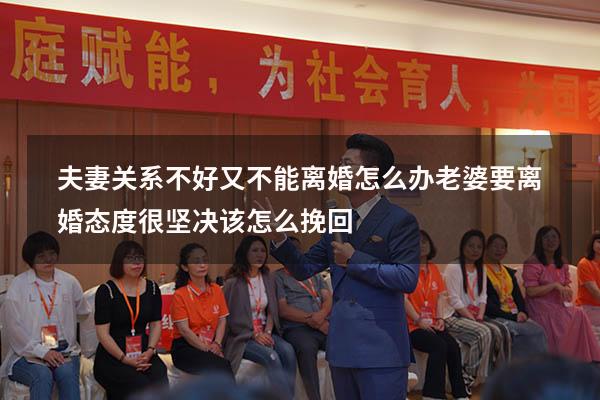 夫妻关系不好又不能离婚怎么办（老婆要离婚态度很坚决该怎么挽回）