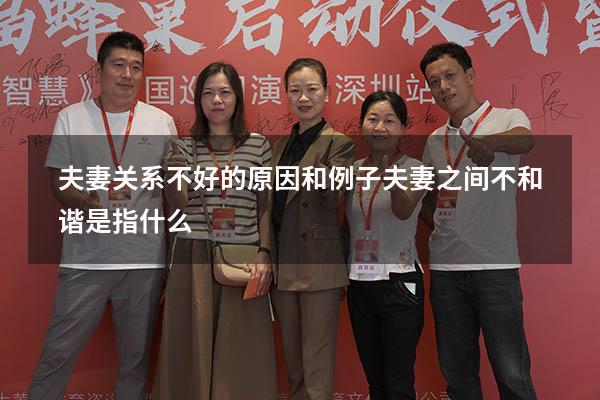 夫妻关系不好的原因和例子（夫妻之间不和谐是指什么）