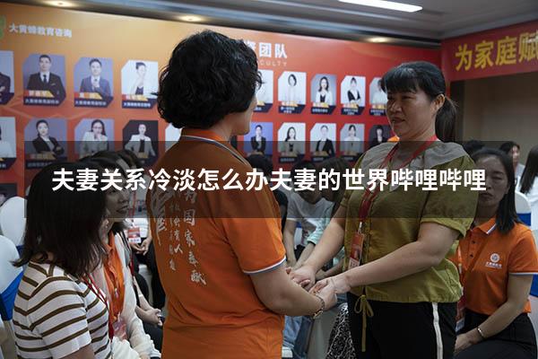 夫妻关系冷淡怎么办（夫妻的世界哔哩哔哩）