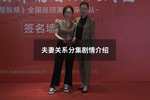 夫妻关系分集剧情介绍