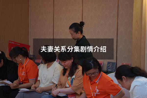 夫妻关系分集剧情介绍8180