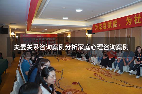 夫妻关系咨询案例分析（家庭心理咨询案例）