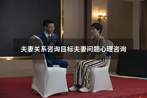 夫妻关系咨询目标（夫妻问题心理咨询）