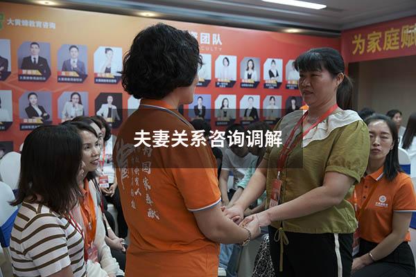 夫妻关系咨询调解