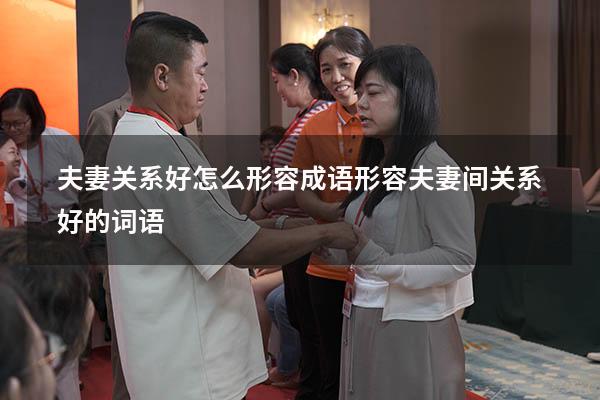夫妻关系好怎么形容成语（形容夫妻间关系好的词语）