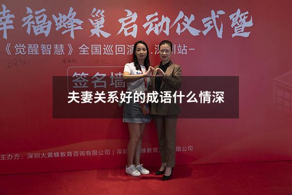 夫妻关系好的成语什么情深