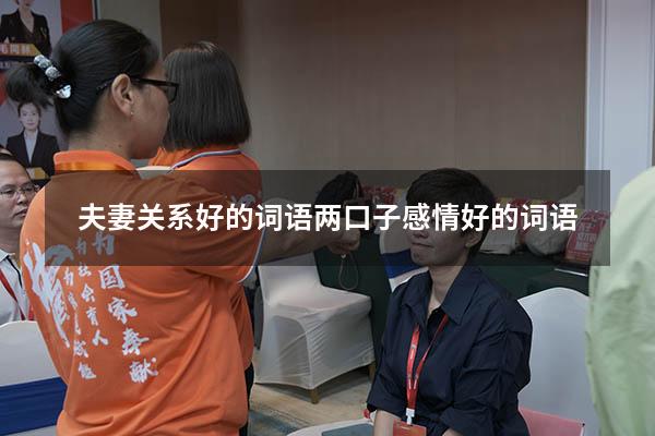 夫妻关系好的词语（两口子感情好的词语）