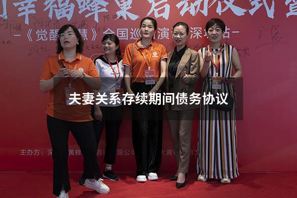 夫妻关系存续期间债务协议