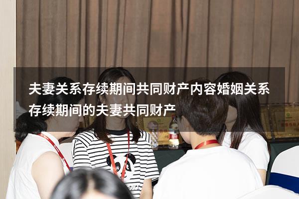 夫妻关系存续期间共同财产内容（婚姻关系存续期间的夫妻共同财产）