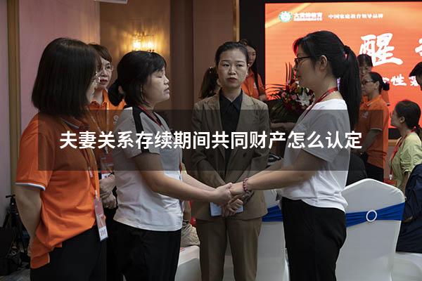 夫妻关系存续期间共同财产怎么认定