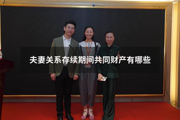 夫妻关系存续期间共同财产有哪些