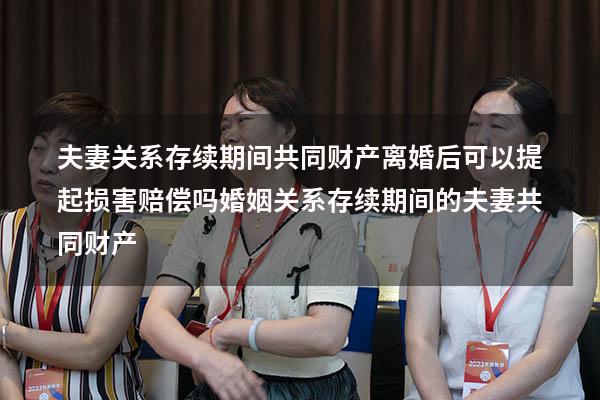 夫妻关系存续期间共同财产离婚后可以提起损害赔偿吗（婚姻关系存续期间的夫妻共同财产）