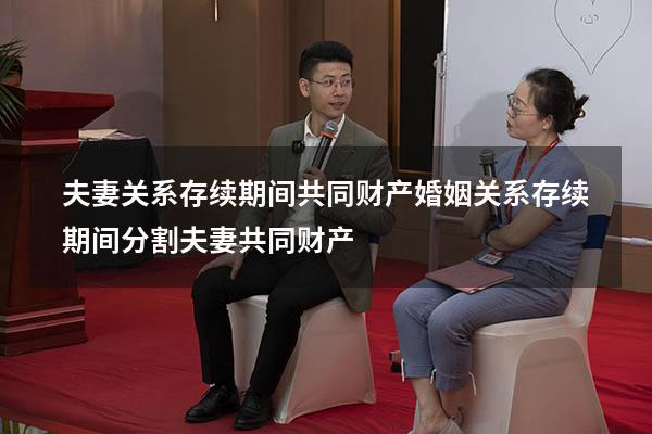 夫妻关系存续期间共同财产（婚姻关系存续期间分割夫妻共同财产）