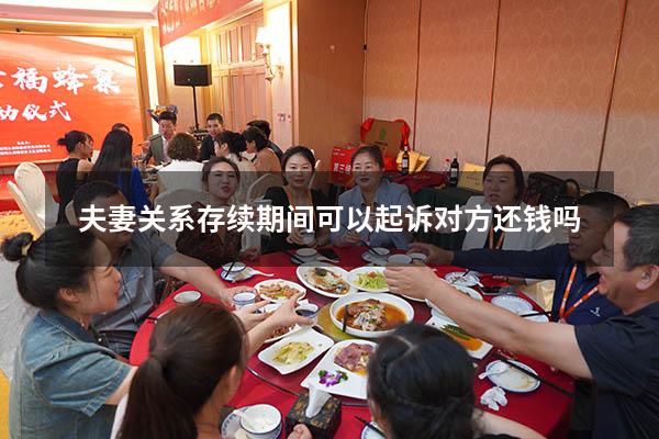 夫妻关系存续期间可以起诉对方还钱吗
