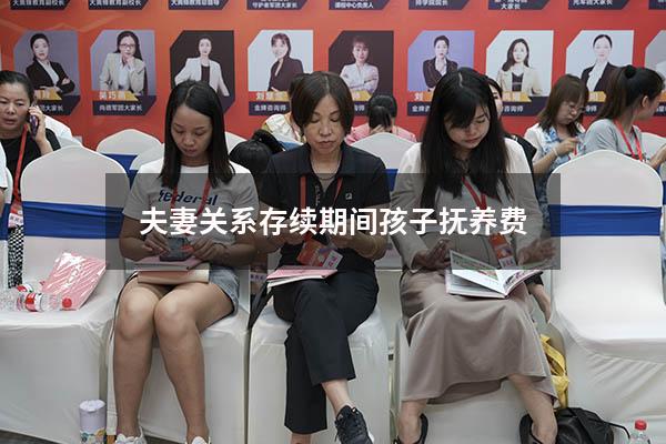 夫妻关系存续期间孩子抚养费