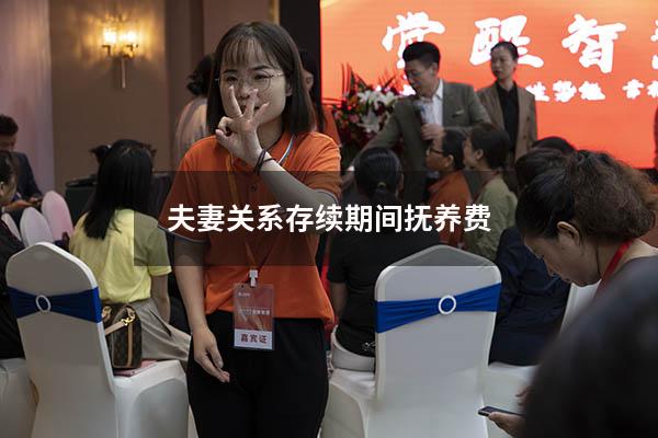 夫妻关系存续期间抚养费