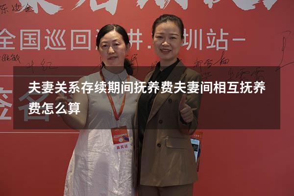 夫妻关系存续期间抚养费（夫妻间相互抚养费怎么算）