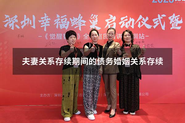 夫妻关系存续期间的债务（婚姻关系存续）