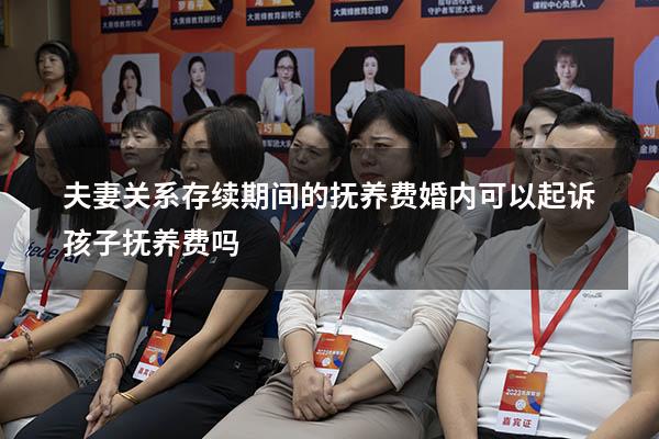 夫妻关系存续期间的抚养费（婚内可以起诉孩子抚养费吗）