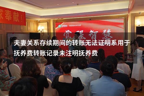 夫妻关系存续期间的转账无法证明系用于抚养费（转账记录未注明抚养费）