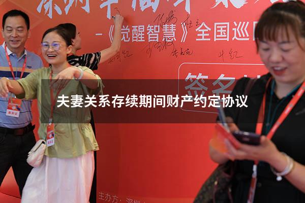 夫妻关系存续期间财产约定协议