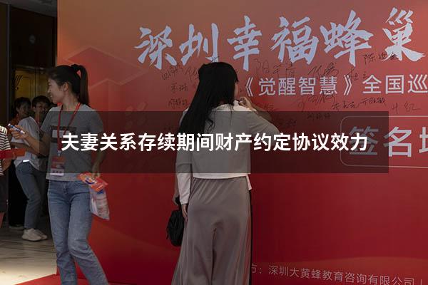 夫妻关系存续期间财产约定协议效力