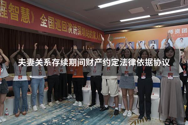 夫妻关系存续期间财产约定法律依据协议