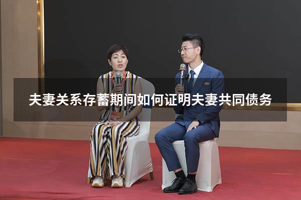 夫妻关系存蓄期间（如何证明夫妻共同债务）