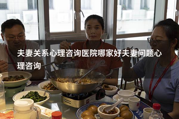 夫妻关系心理咨询医院哪家好（夫妻问题心理咨询）